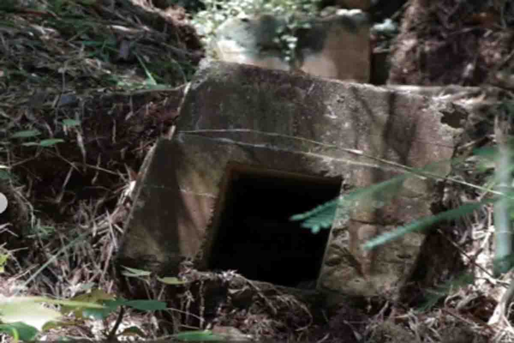 Bunker di tengah hutan Sembulungan