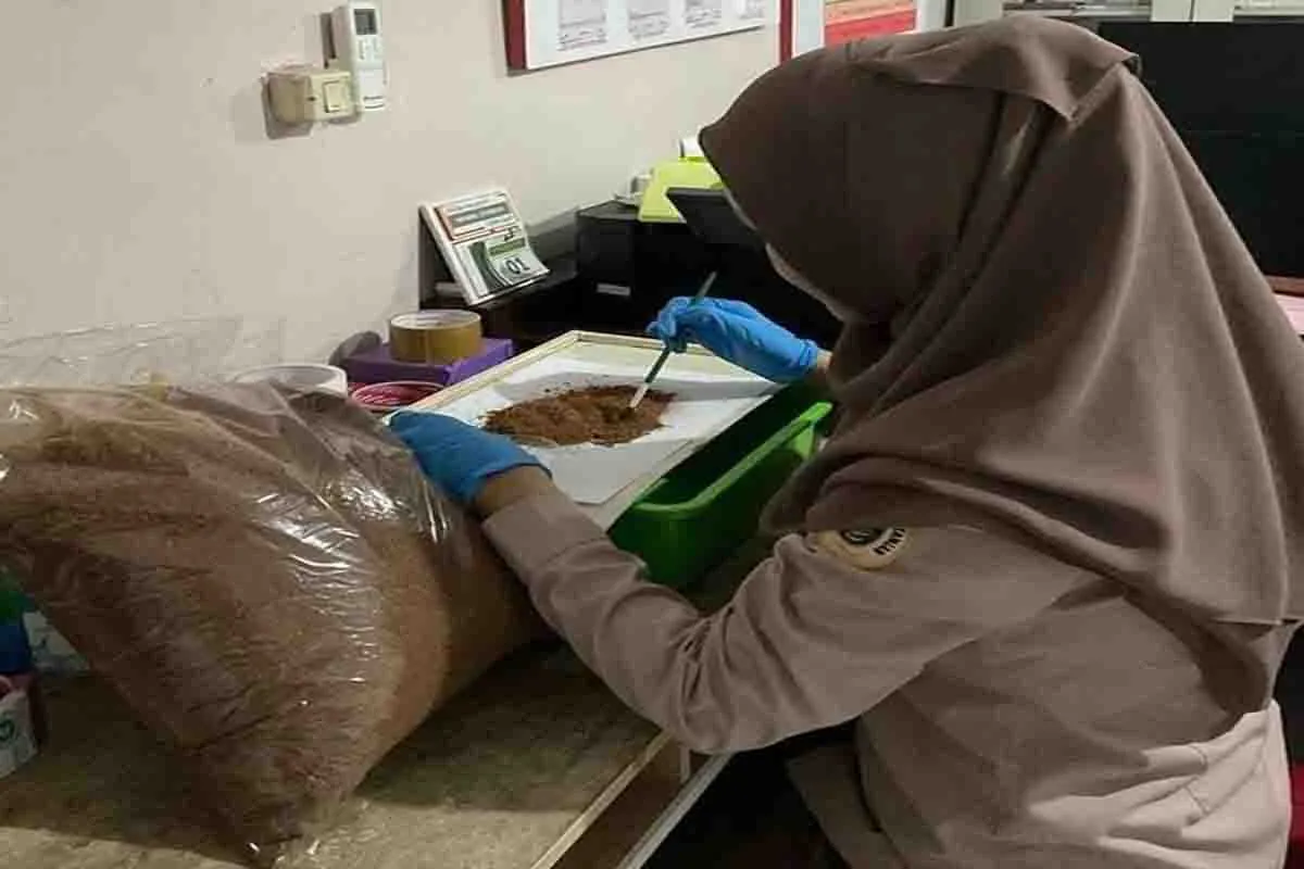 4 Perusahaan Tiongkok Sebagai Buyer dan Importir Produk Cocopeat