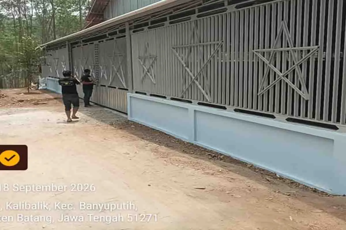 Ditreskrimum Polda Jawa Tengah Pantau Arena Sabung Ayam di Kalibalik