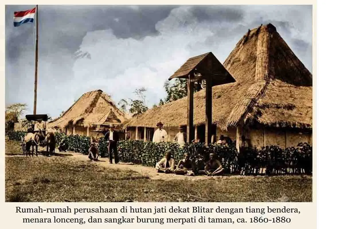 Jejak Industri Kayu Jati di Blitar Zaman Kolonial