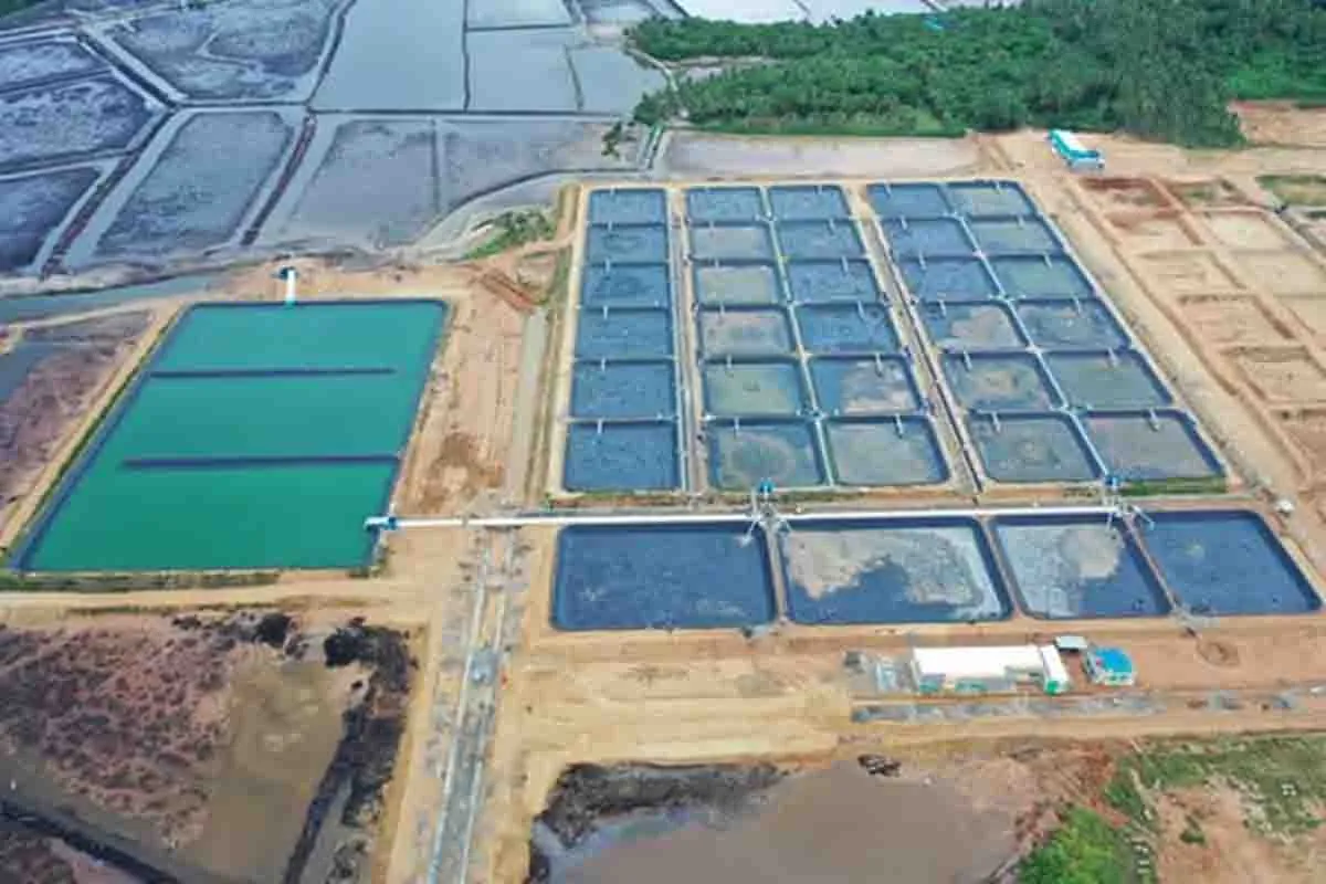 Tambang PT Parigi Aquakultura Prima