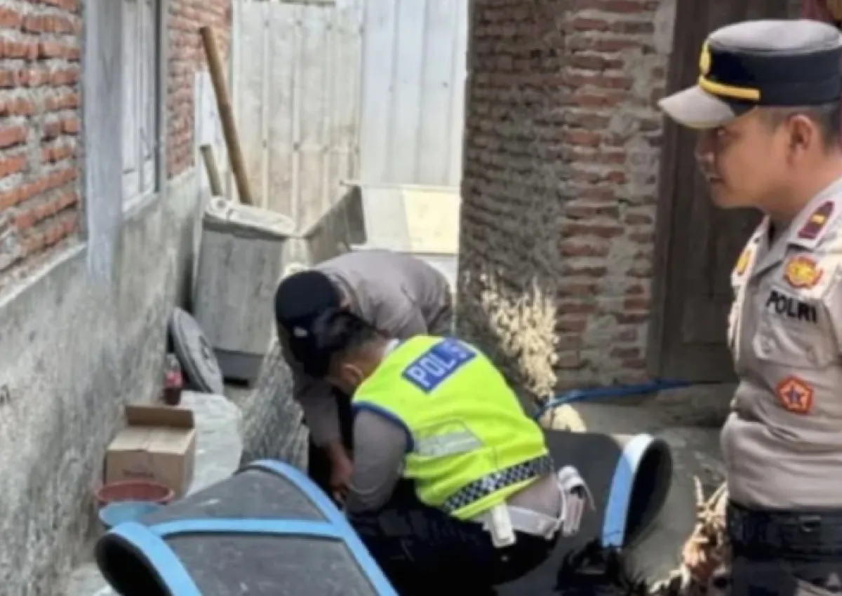 Polres Tegal Tangkap 1 Orang di Arena Sabung Ayam di Wangandawa