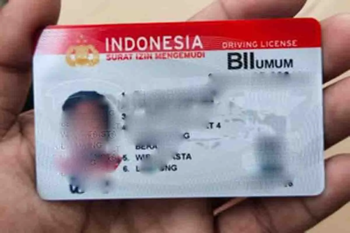 Gunakan SIM Palsu, Stevi Aron Dipenjara 6 Bulan
