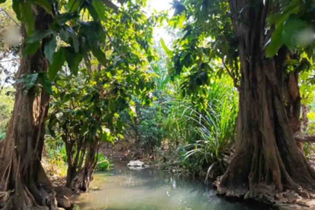 Sumber mata air di Desa Kunci, Kecamatan Dander, Kabupaten Bojonegoro