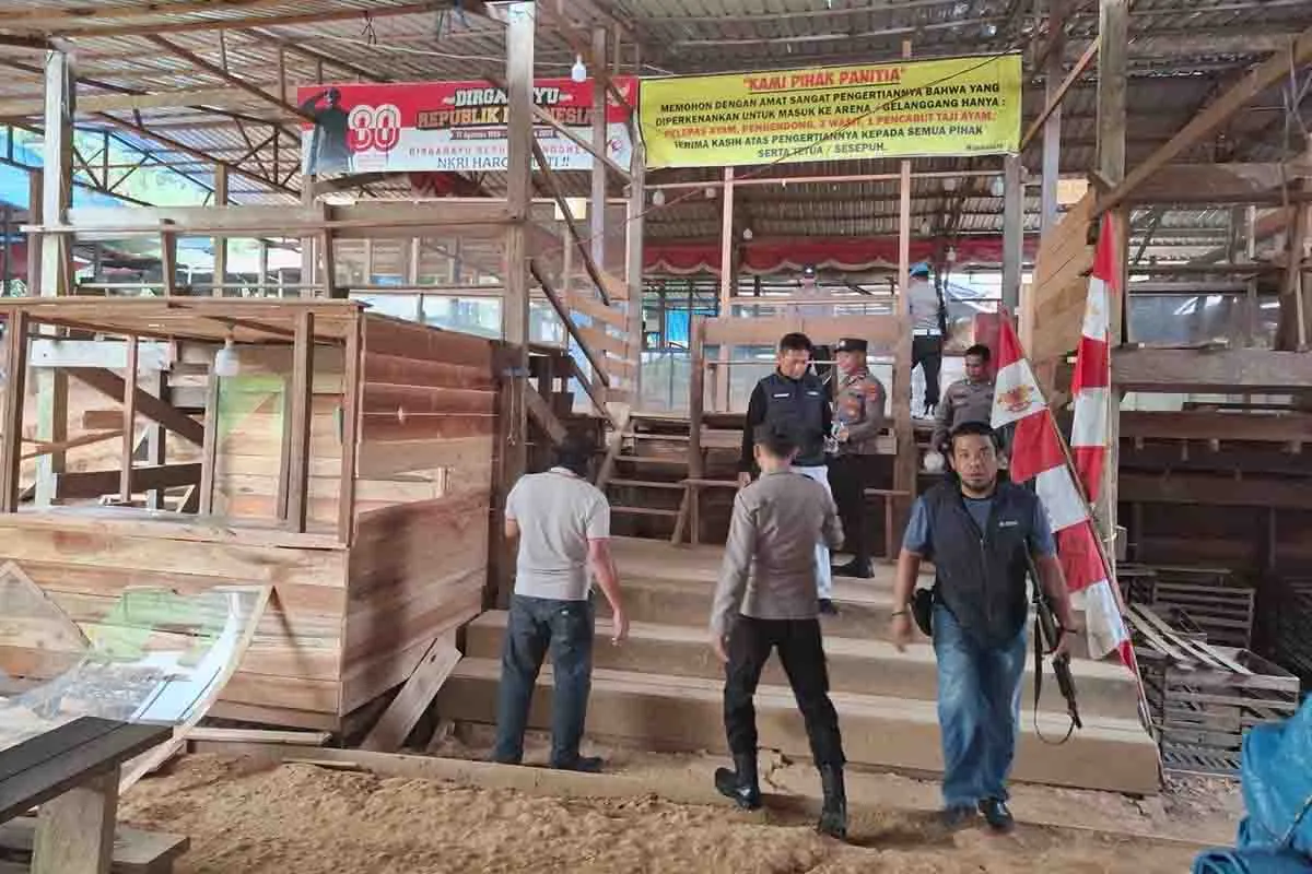 Polsek Teluk Bayur Grebek Arena Judi Sabung Ayam di Kelurahan Rinding