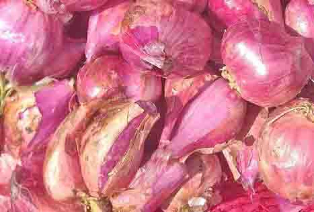Bawang merah