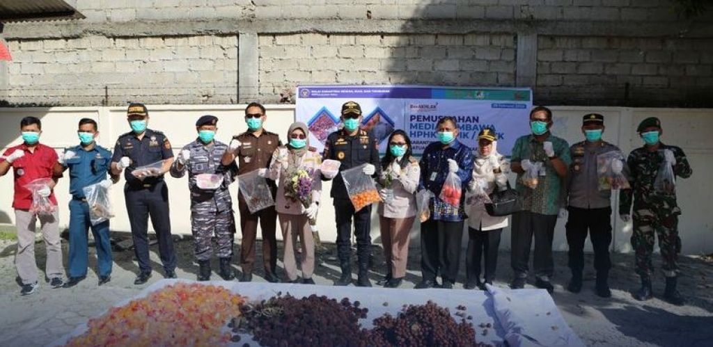 Pemusnahan media pembawa hama penyakit hewan karantina