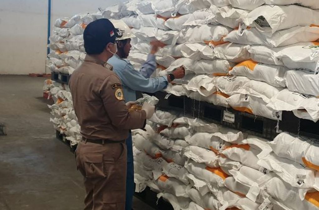 Benih jagung siap diekspor