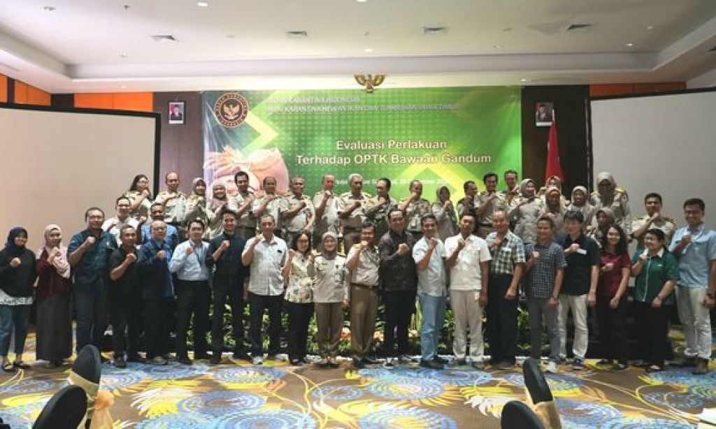 Evaluasi perlakuan terhadap optk bawaan gandum