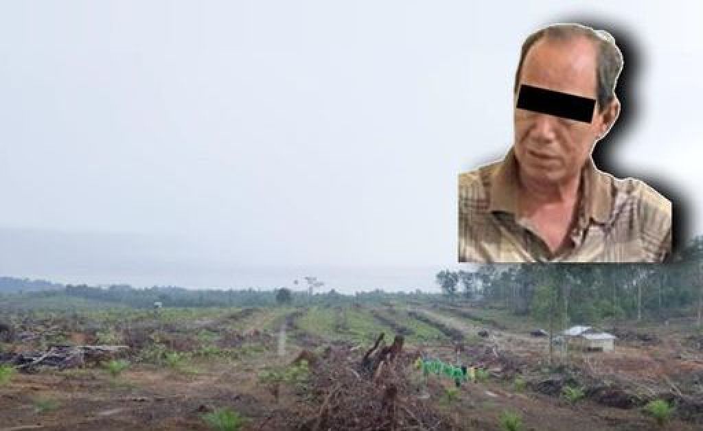 Buronan tersangka perambah hutan di Kabupaten Bangka