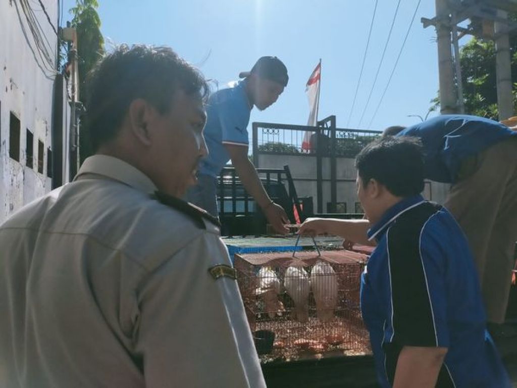 Penyelundupan burung dengan modus paralon