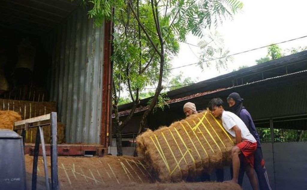 Cocofiber diangkut ke kontainer
