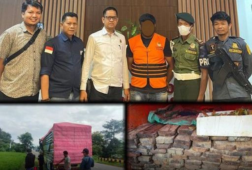 Tersangka perdagangan kayu ilegal