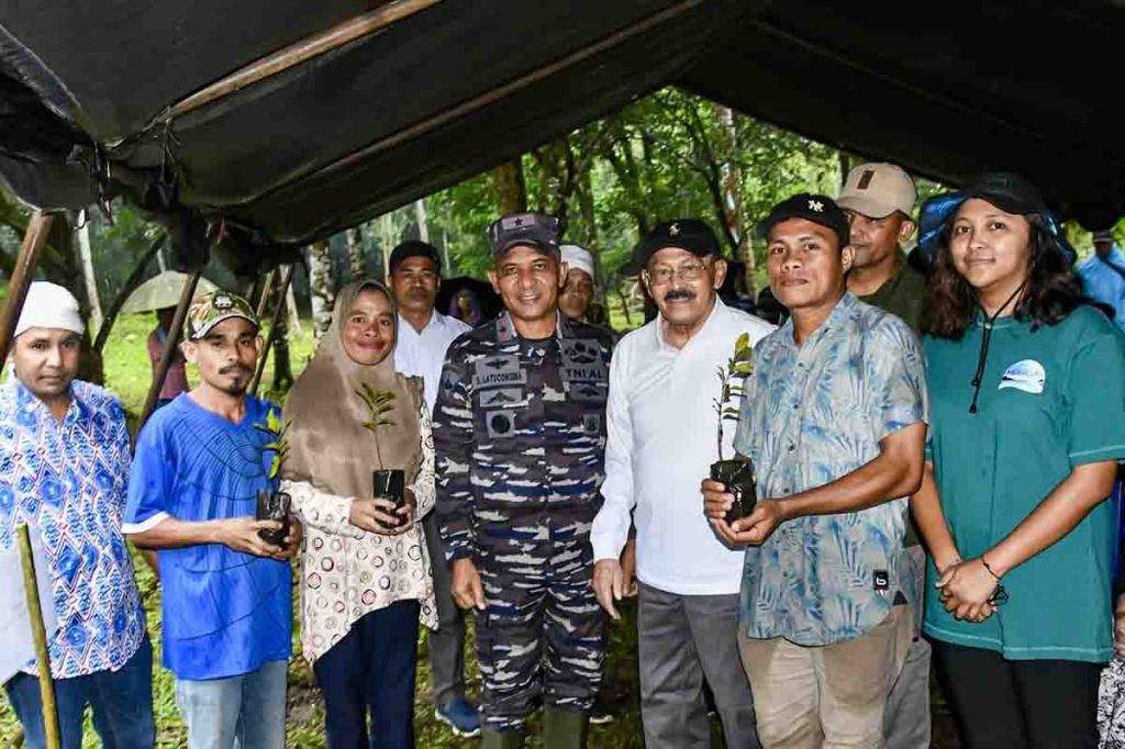 Penanaman bibit cengkeh