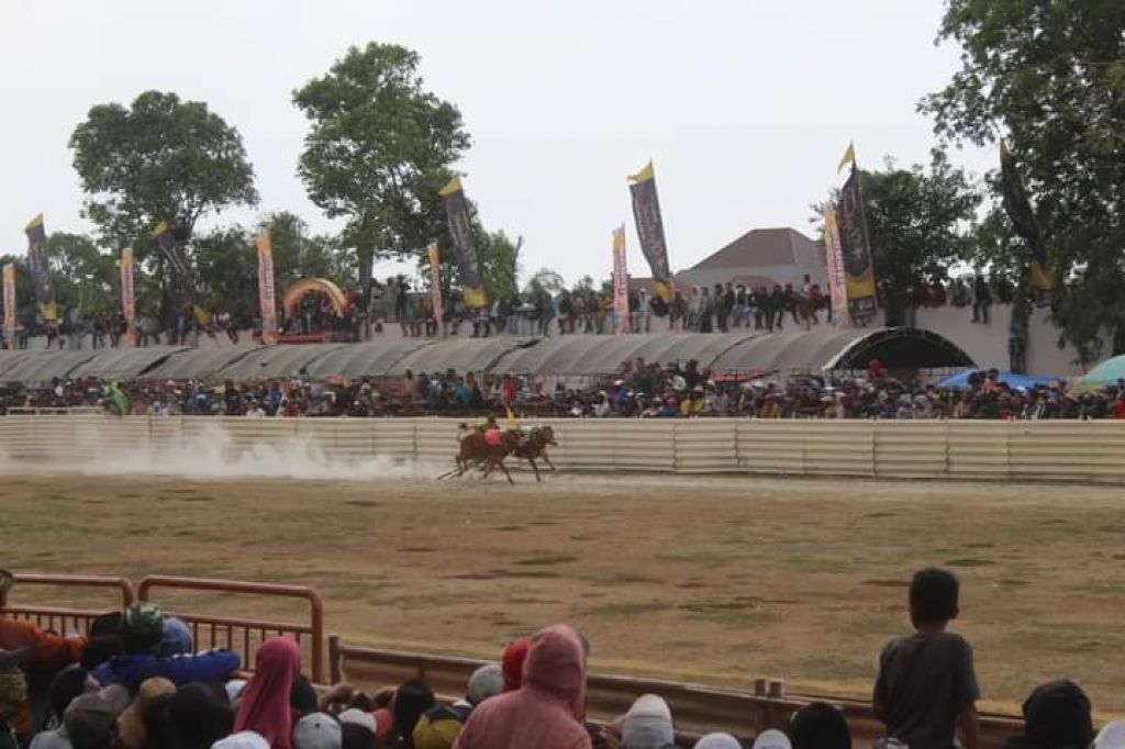 Kerapan sapi Piala Presiden di Kabupaten Bangkalan