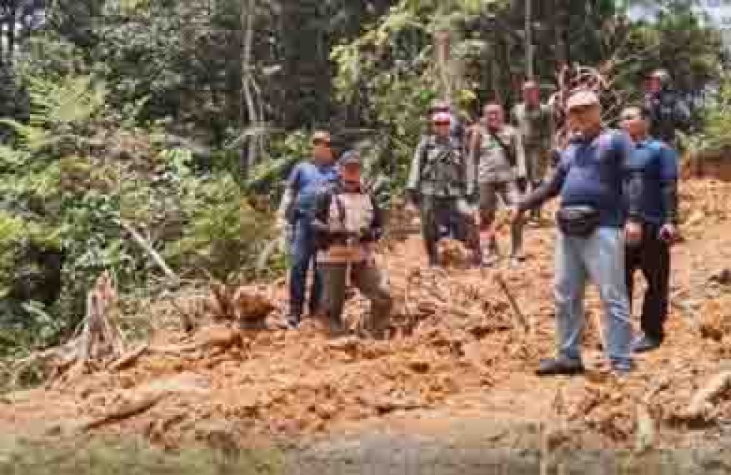 Kerusakan hutan di Taman Nasional Bukit Tigapuluh