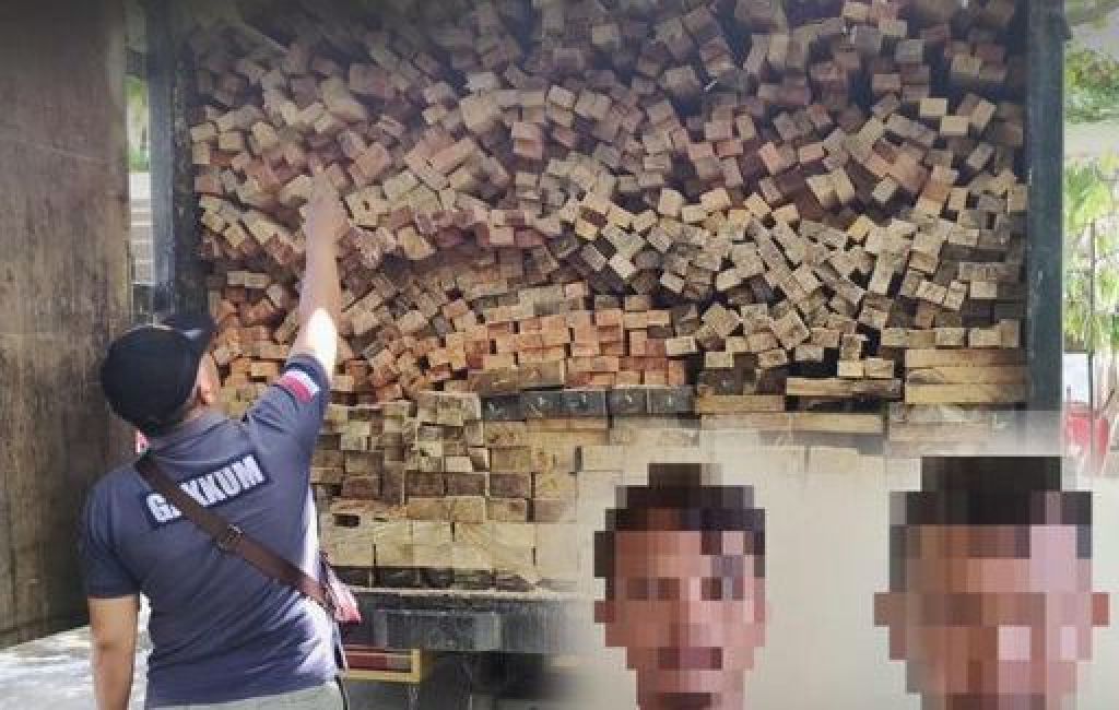 Dua pelaku illegal logging