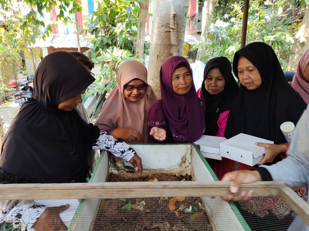 Aktivitas Yayasan Hijau Daun Mandiri