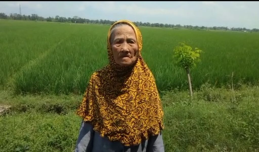 Sripah di atas lahan miliknya