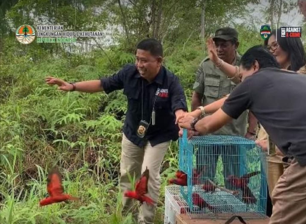 Petugas Gakkum KLHK dan BKSDA melepas hewan dilindungi