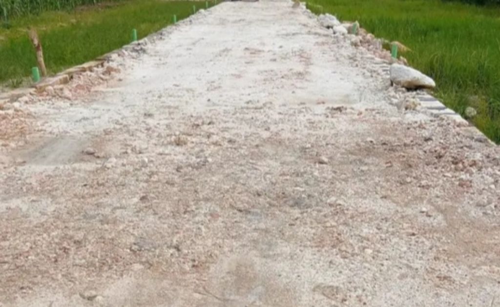 Lahan sawah yang diurug untuk dijadikan tamah kavling
