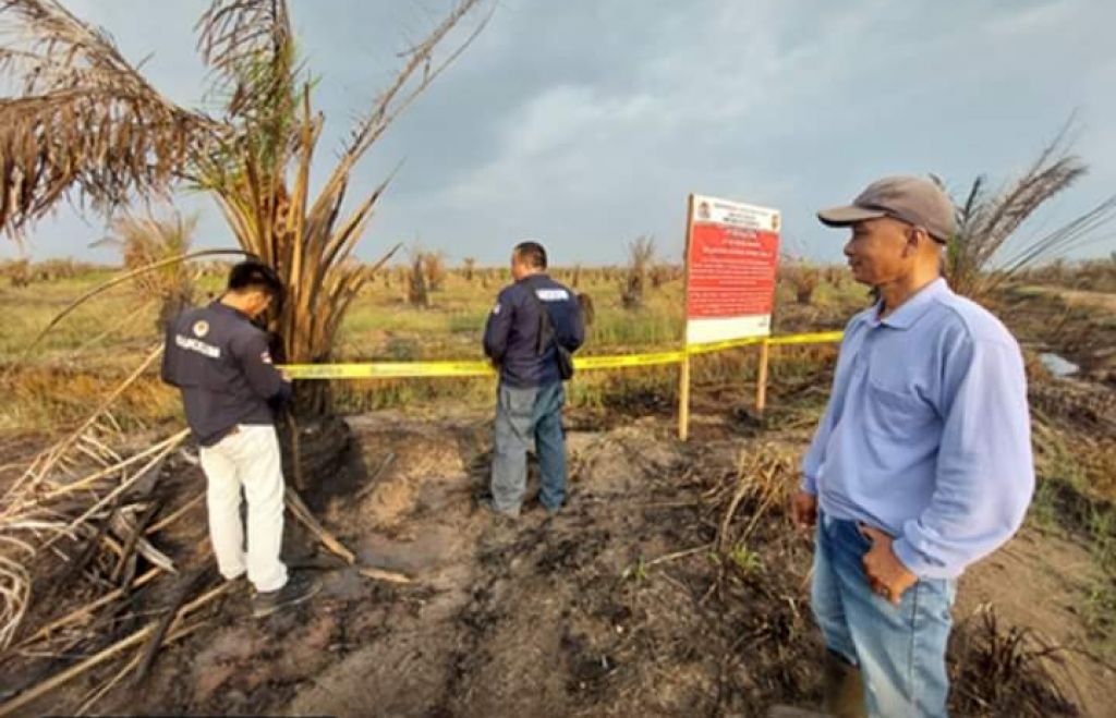 Gakkum KLHK segel lahan yang terbakar