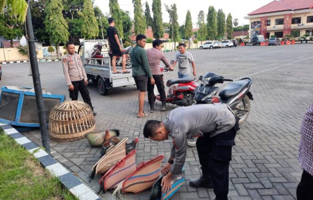 Barang bukti sabung ayam yang diamankan Sat Samapta Polres Situbondo