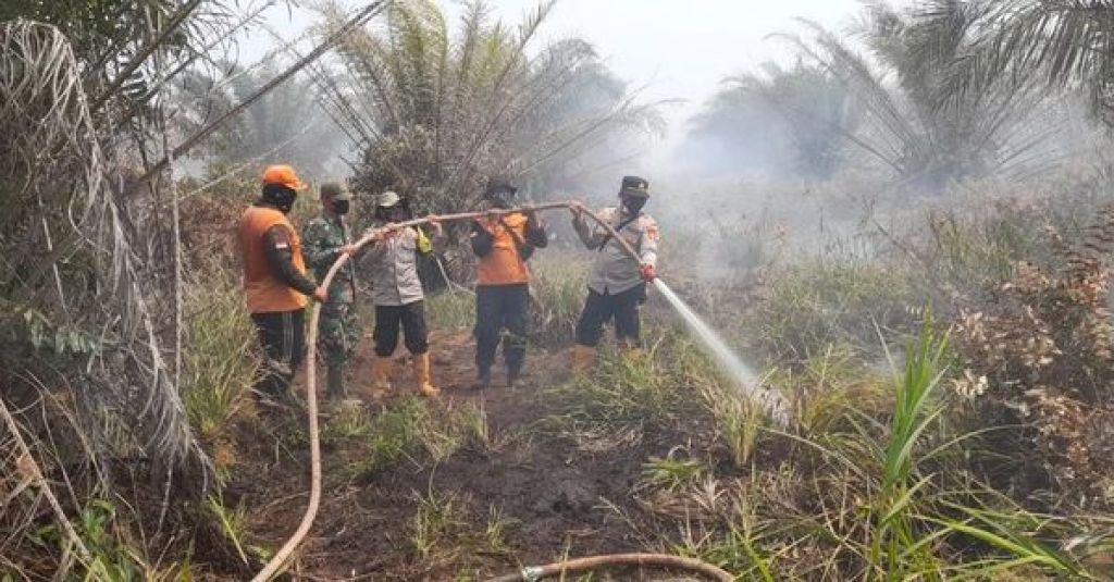 Upaya memadamkan api di Desa Karang Agung