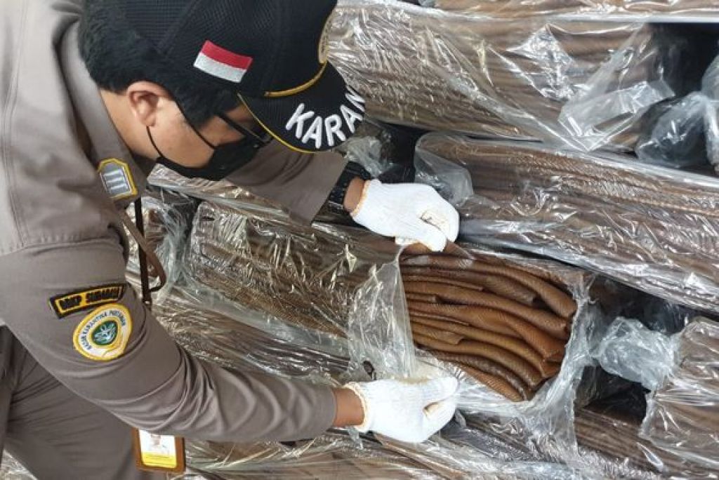 Badan Karantina Surabaya melakukan pemeriksaan 55 ton karet Ribbed Smoked Sheet (RSS) yang akan diekspor ke Cina