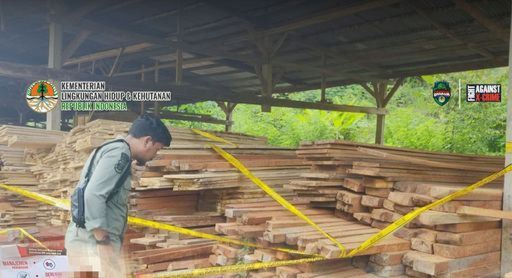 Industri pengolahan kayu ilegal