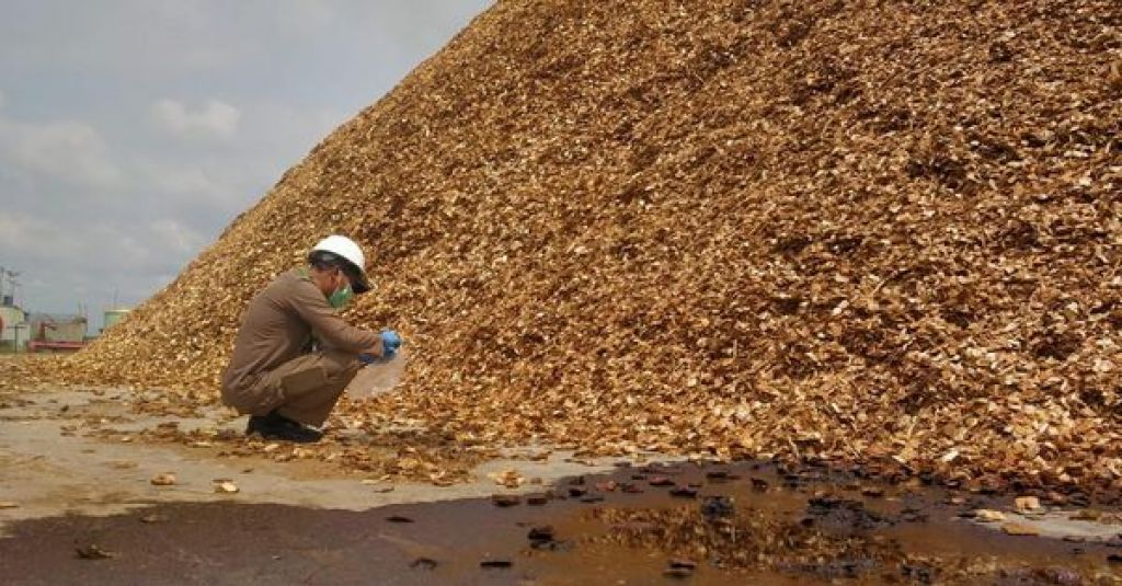 Kayu Chip