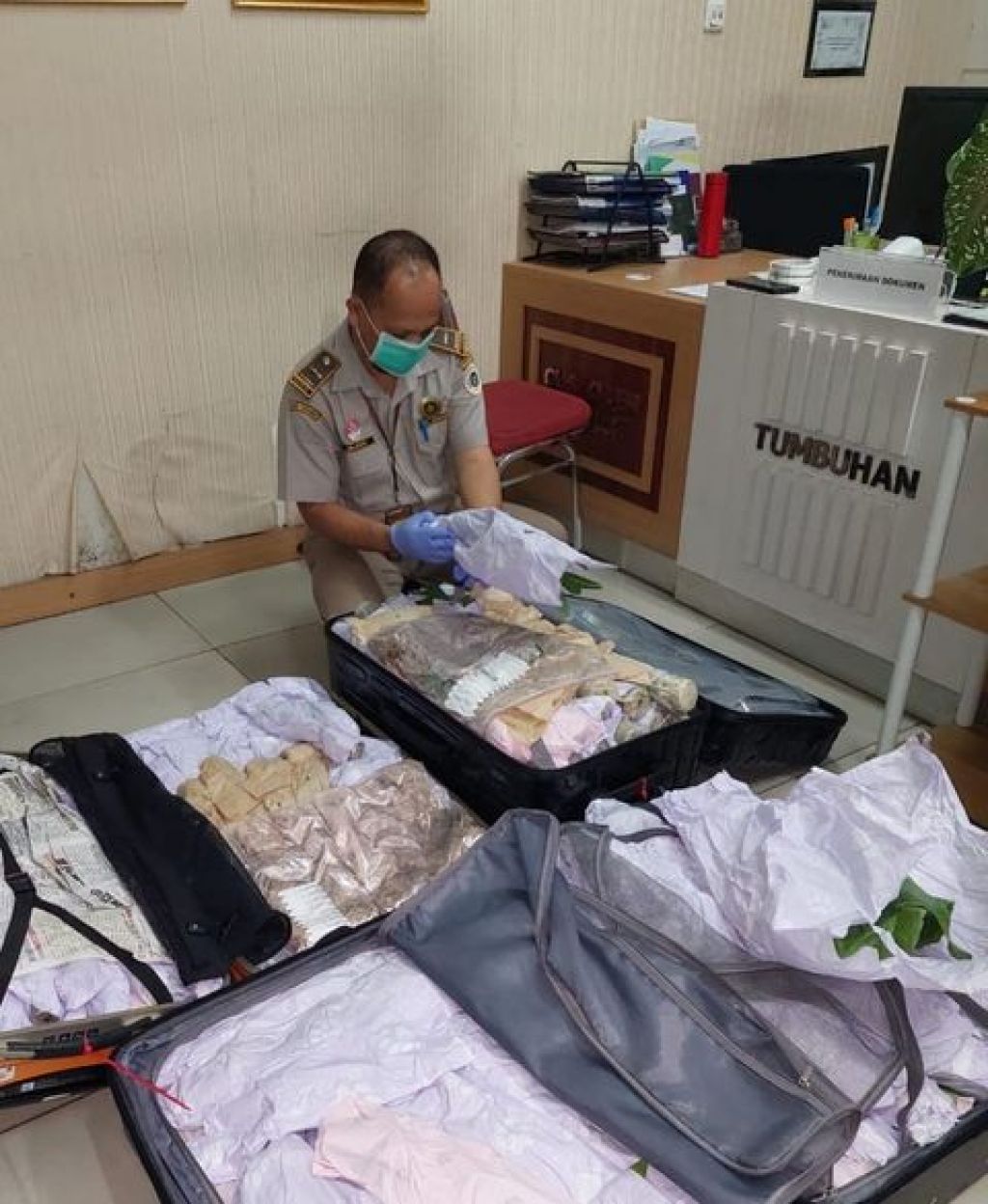 Tiga koper berisikan bibit tanaman asal Hongkong
