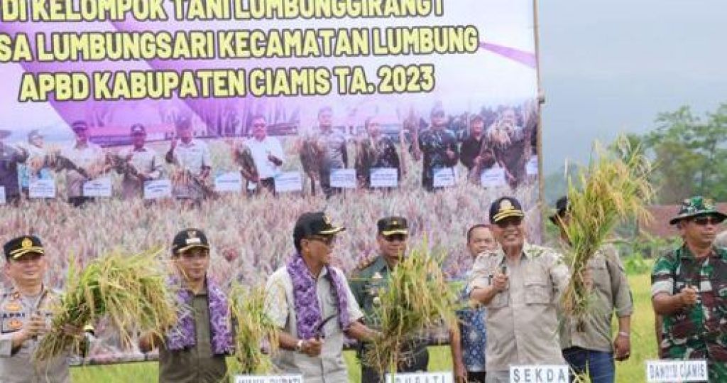 Panen budidaya padi ramah lingkungan