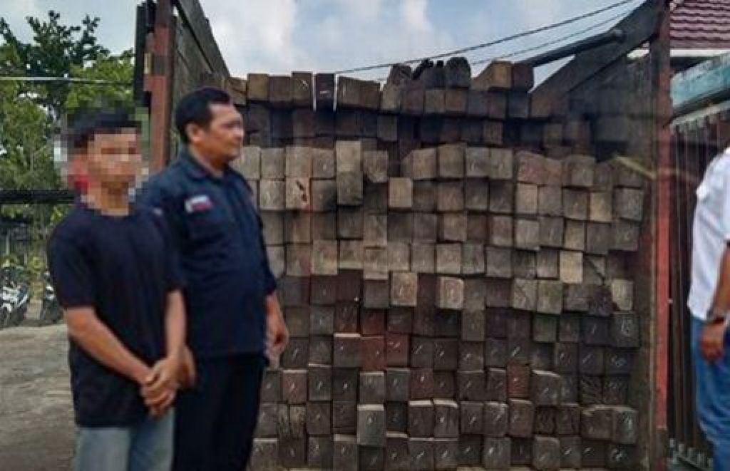 EW, pelaku ilegal logging