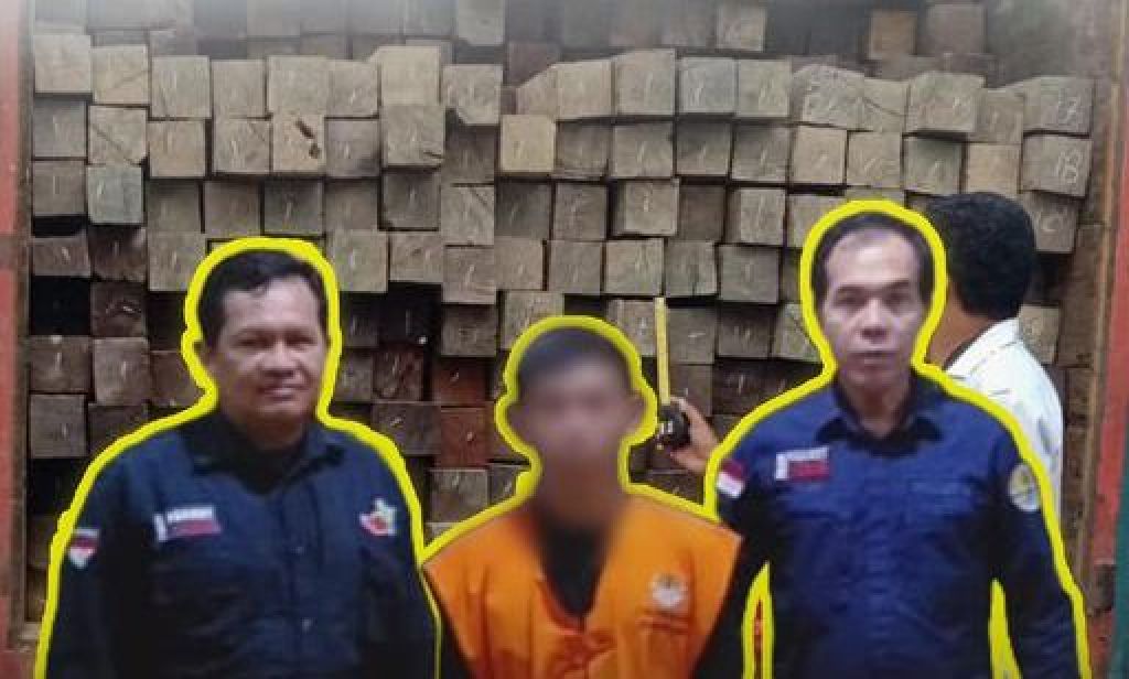 EW (tengah), pelaku pembalakan liar