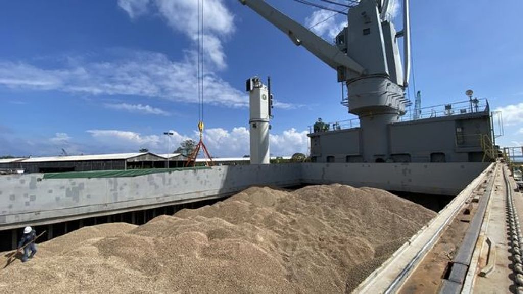 Sebanyak 9.501,402 ton pelet kayu asal Kepulauan Sula perdana diekspor ke Jepang.