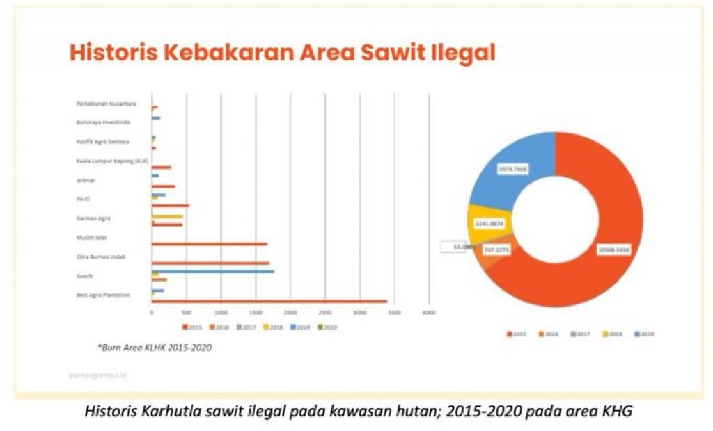 Histori kebakaran area kebun sawit
