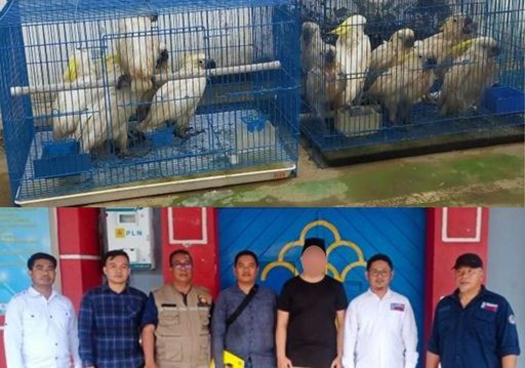 Gakkum KLHK menyerahkan LM bersama barang bukti ke Kejati Sulawesi Tenggara