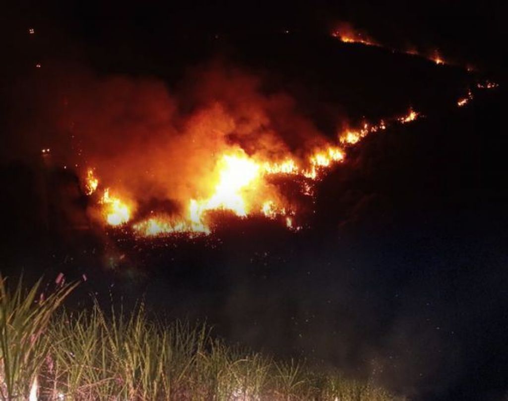 Kebakaran hutan