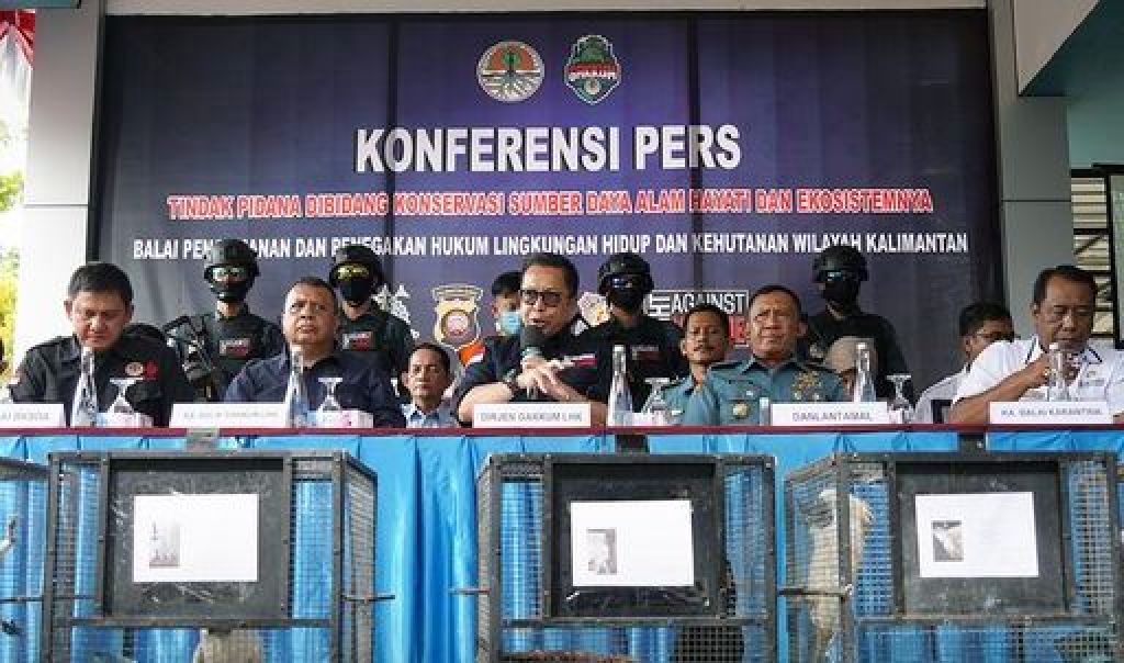 David Muhammad, Kepala Balai GAKKUM LHK Wilayah Kalimantan saat rilis kasus