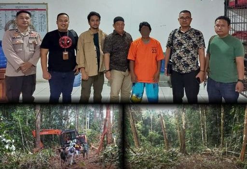 Tersangka kasus dugaan perambahan untuk pembukaan jalan kegiatan perkebunan di Resort Siambul TN Bukit Tigapuluh