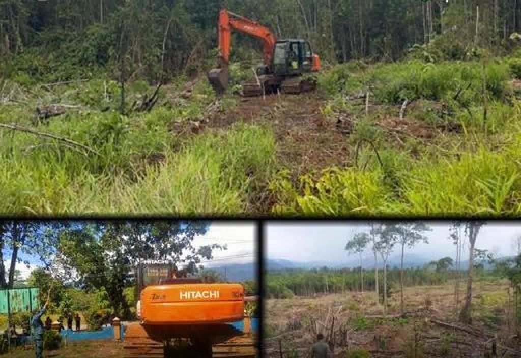 Tersangka perusakan atau pembukaan kawasan konservasi Cagar Alam 