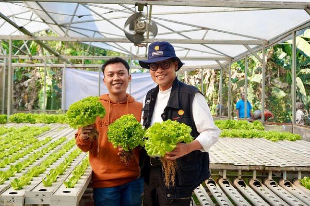 Dedi Nursyamsi mengunjungi lahan pertanian milik, Gani Arista