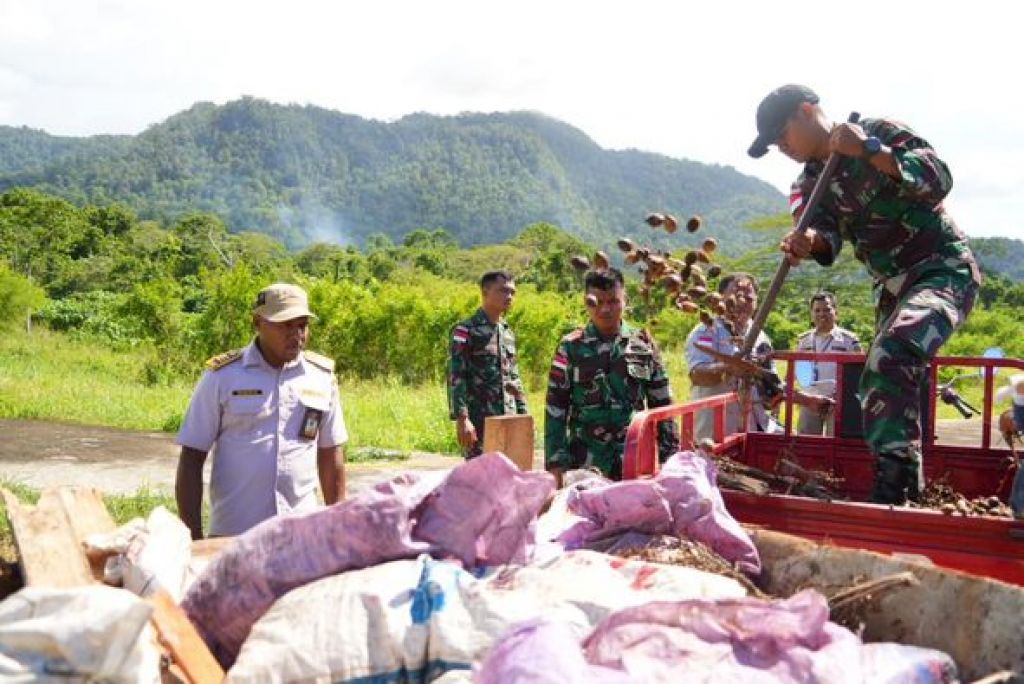 Pemusnahan terhadap media pembawa berupa 650 kg pinang asal Papua Nugini