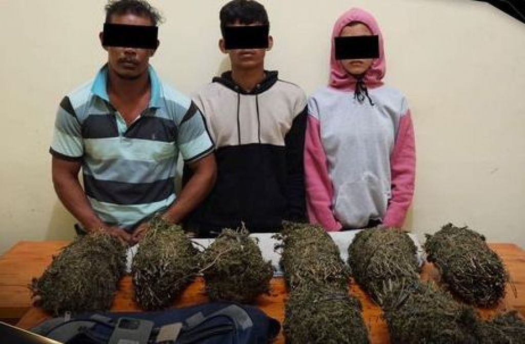 Tiga pengedar narkotika jenis ganja di Desa Paya Lhok