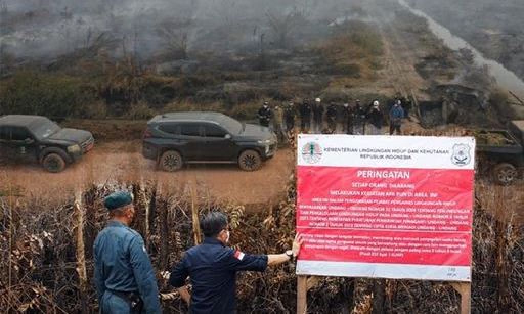 Gakkum KLHK Menyegel lahan perkebunan sawit terbakar di PT Sampoerna Agro