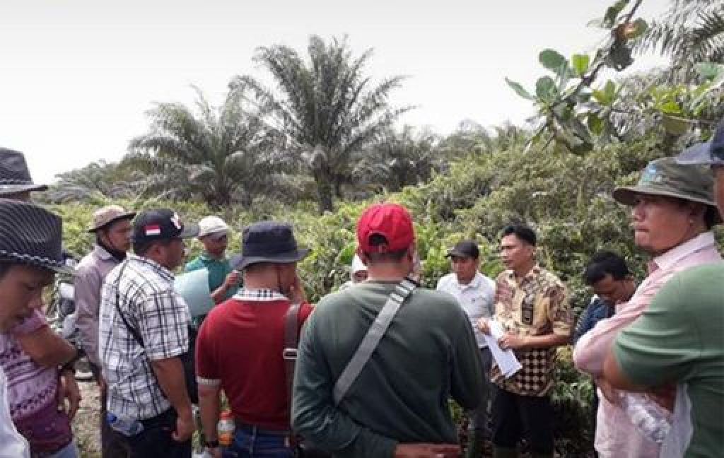 Kegiatan pemulihan lahan di PT Kallista Alam