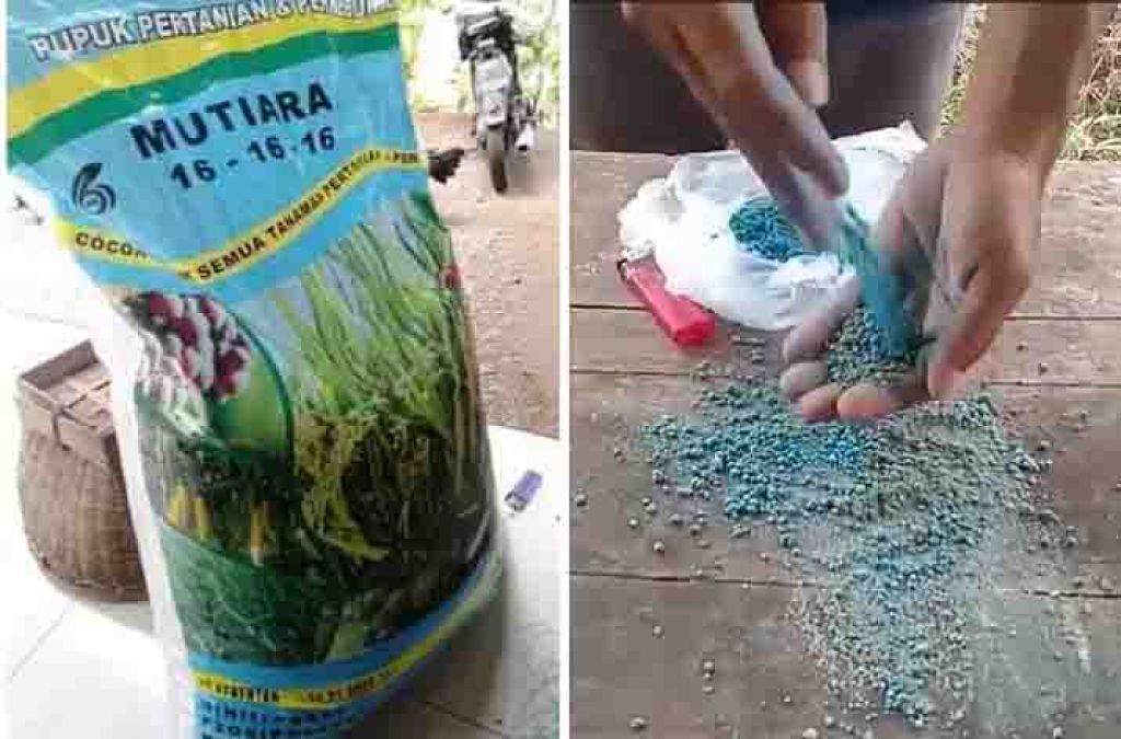 Pupuk merk Mutiara yang diduga palsu