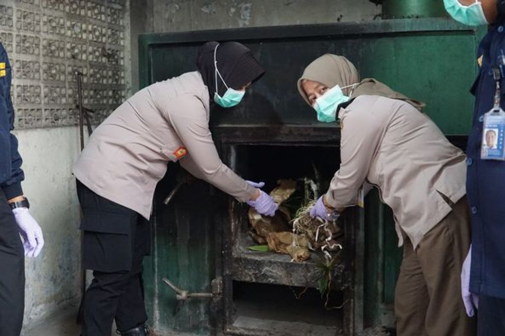 Pemusnahan ratusan Media Pembawa (MP) Organisme Pengganggu Tanaman Karantina