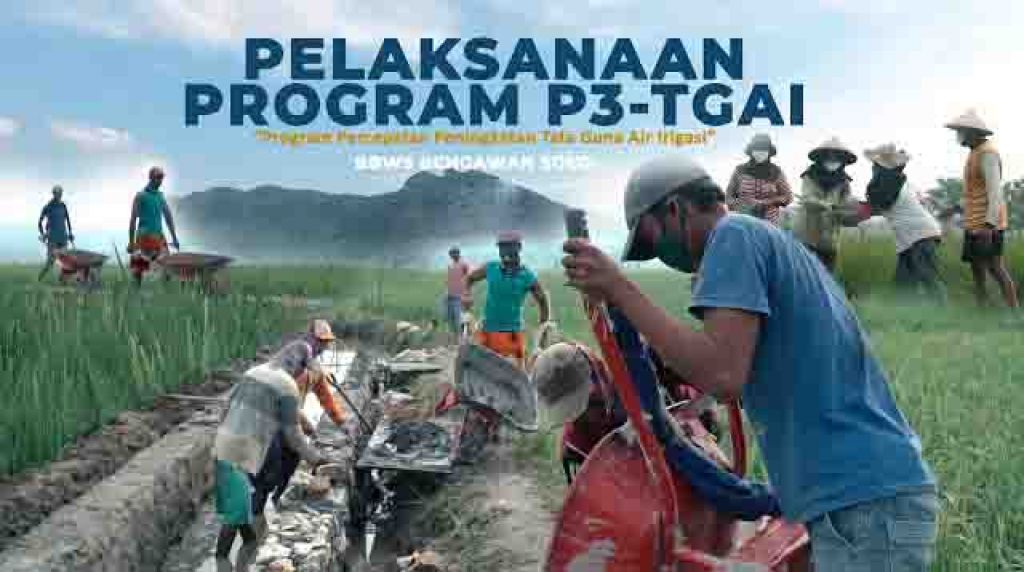 Kegiatan P3 TGAI